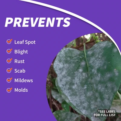Fung-onil Multi-Purpose Fungicide for Plant Disease Control, 32 Ounce Spray Bottle, Controls Blight Mildew and More