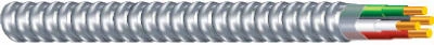Armored Cable, Steel Jacket, 12/2 ACT, 100 Ft.
