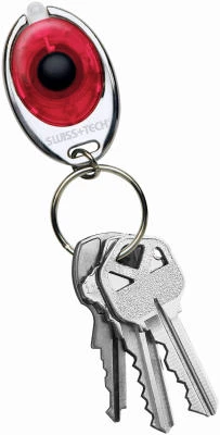 Micro-Light Key Ring LED Flashlight