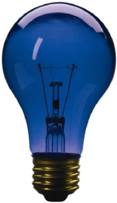 Transparent Party Light Bulb, Blue, 25-Watts