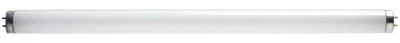 15-Watt Cool White Miniature Fluorescent Tube Light Bulb