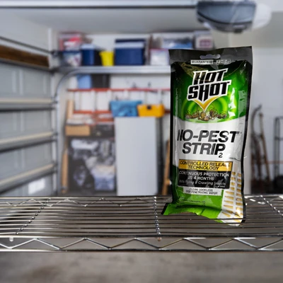 No-Pest Strip, 1-ct