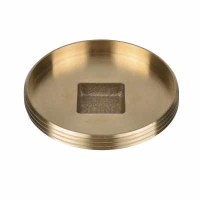 Brass Raised Head Plug, 3 and 1/2 Inch Diameter