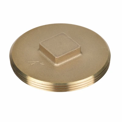 Brass Raised Head Plug,4 In.