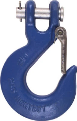 Clevis Slip Hook With Latch, Blue, 5/16 In.