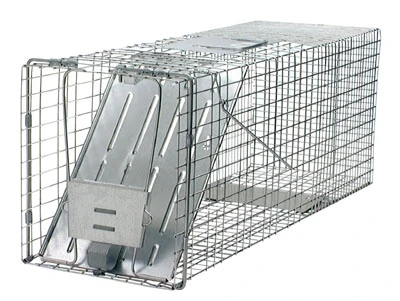 Live Animal Cage Trap, 32 In.