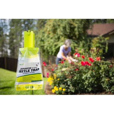 Japanese Beetle Trap
