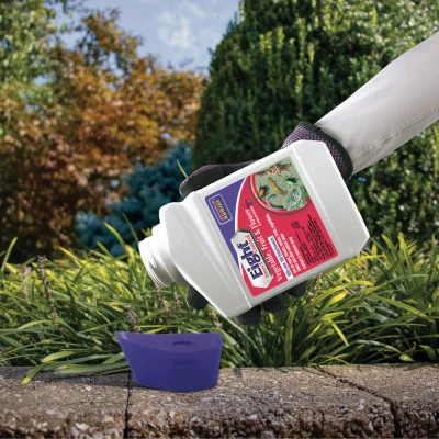 Eight 16 Oz. Concentrate Insect Killer For Vegetables, Fruits & Flowers