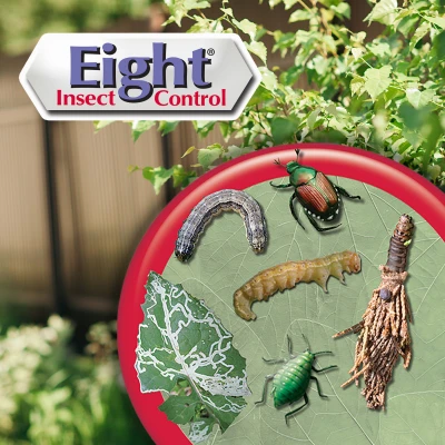 Eight 16 Oz. Concentrate Insect Killer For Vegetables, Fruits & Flowers