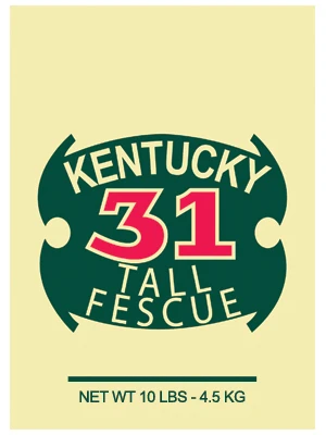 Kentucky 31 Tall Fescue Grass Seed, 10 Pounds, Covers 1,250 Square Feet