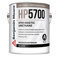 DTM Mastic Urethane - Gloss