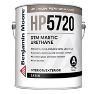DTM Mastic Urethane - Satin