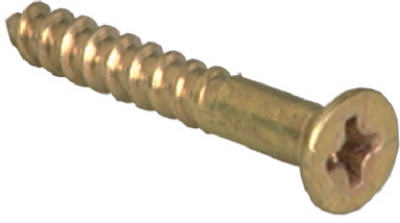 Wood Screws, Phillips Flat Head, Brass, #6 x 1/2-In., 100-Pk.