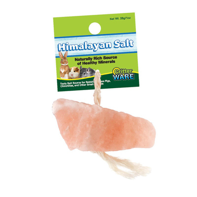 Himalayan Salt Lick on a Rope for Small Pets