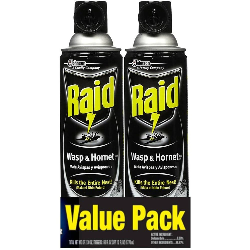 Wasp & Hornet Killer, 2-Pk.