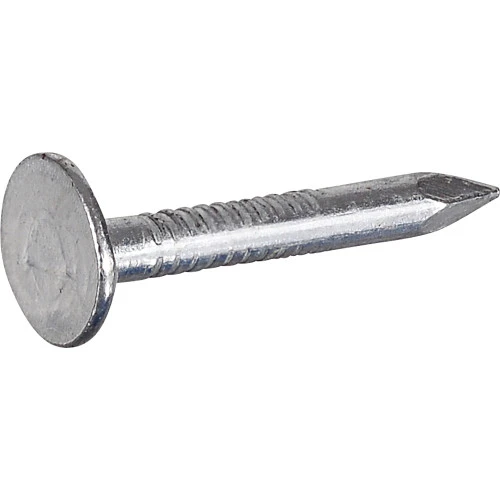 Fasn-Rite Roofing Nails, Electro Galvanized, 1-In., 1-Lb.