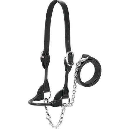 Livestock Show Halter, Black, Medium