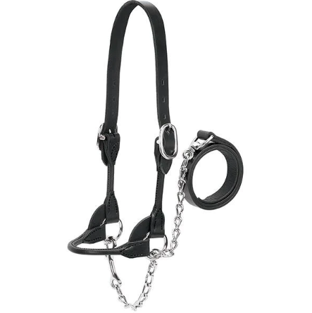 Livestock Show Halter, Black, Large With Chain And Lead