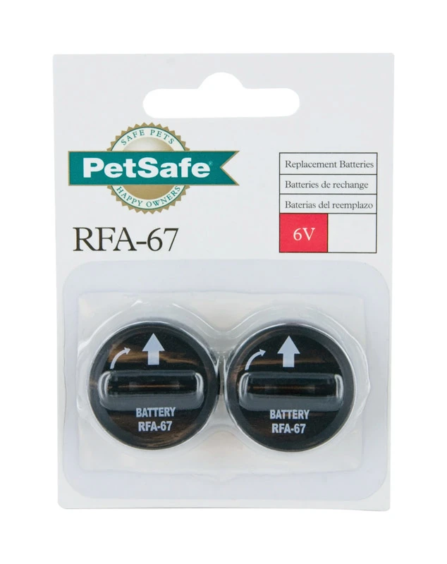 Lithium Batteries, 2-Pk., 6-Volt
