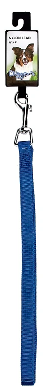 Pdq Nylon Dog Lead 48 In L X 5/8 In W Blue, Model 2930002, 10 Pk