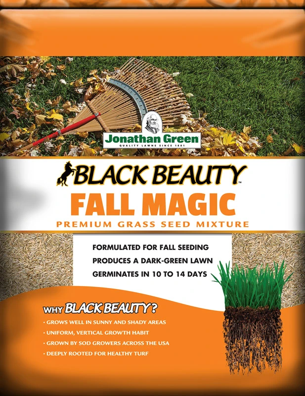 Black Beauty 3 Lb. Fall Magic Grass Seed For Sun & Shade