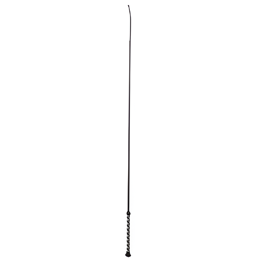Dressage Basic Pig Whip in Black, 36 Inches Long