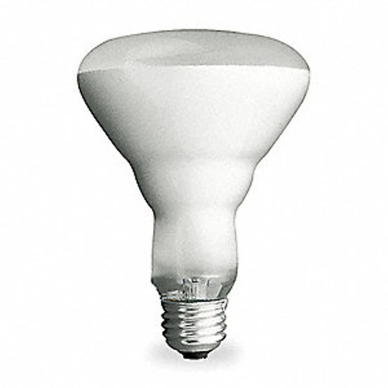 Philips DuraMax 65W Frosted Medium Base BR40 Incandescent Floodlight Light Bulb