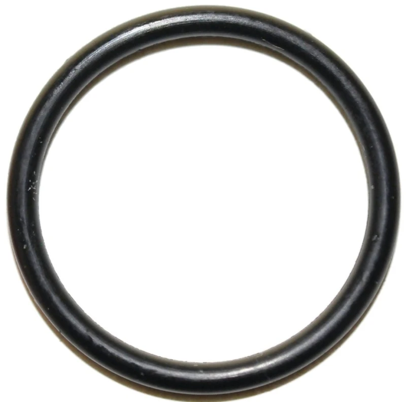 Danco 3/4 in. Dia. Rubber O-Ring 1 pk