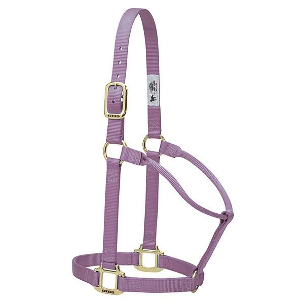 Leather Original Non-adjustable Nylon Halter, 1", Lavender, Average Horse Size