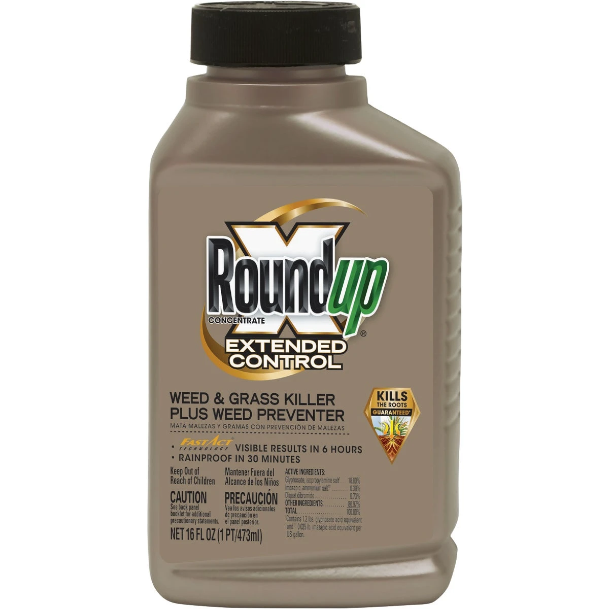 Weed and Grass Killer Extended Control 16 Ounce Concentrate