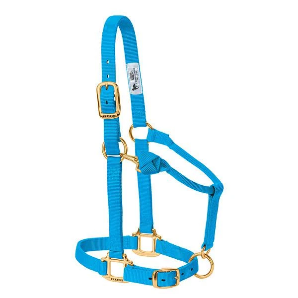 Adjustable Chin & Throat Snap Halter, 1 In., Hurricane Blue, Average Horse Size