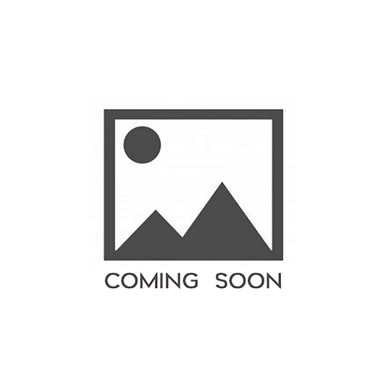 Rollomatic E 16-inch Laminated Chainsaw Bar For Ms Series Chainsaws