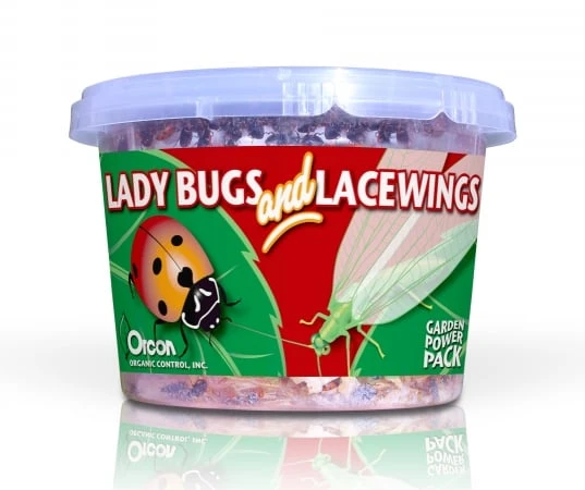 Llr500 Live Adult Ladybugs And Lacewing Eggs - 500 Ladybugs & 1000 Eggs