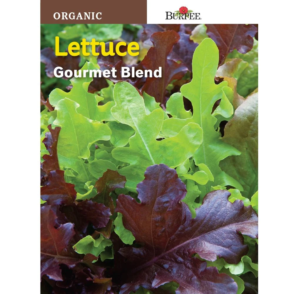 Organic Lettuce Gourmet Blend Seed - Model 60305 - 1 Count