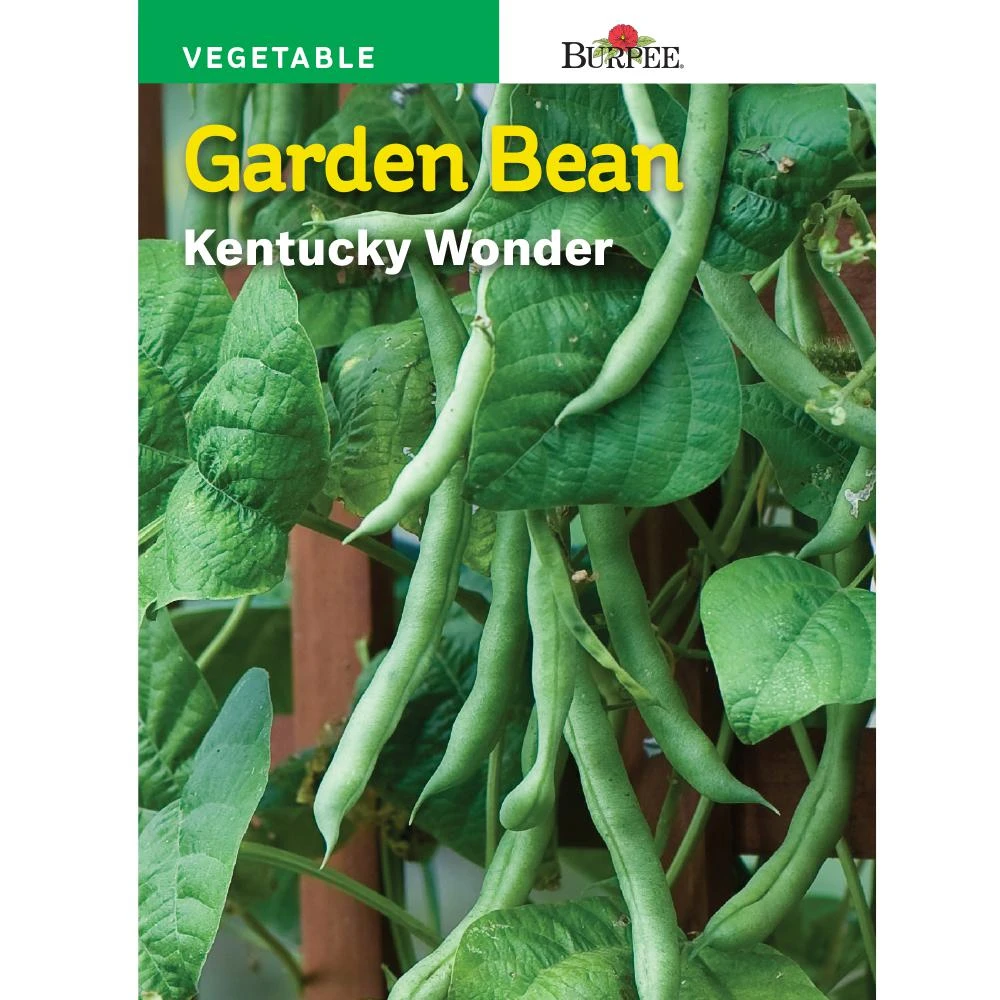 Kentucky Wonder Pole Bean Herb Seed Packet - Model 65441