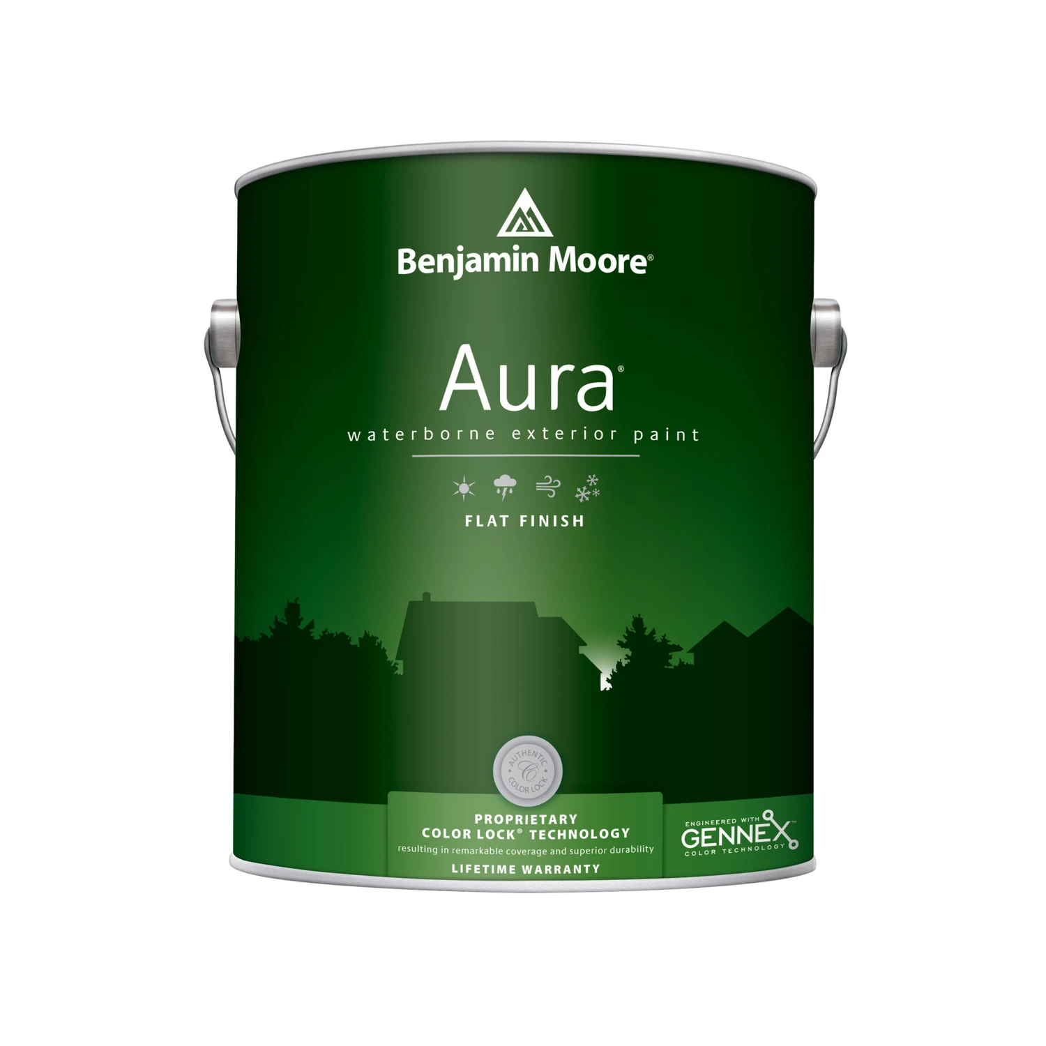 Aura Exterior Paint Flat