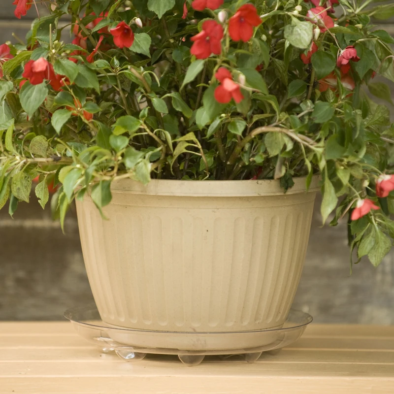 12 In. Clear Plastic Plant Saucer Plus With Decorative Feet