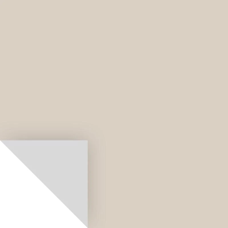 Peel & Stick Color Sample Benjamin Moore Pale Oak Oc-20 14.75" X 9"