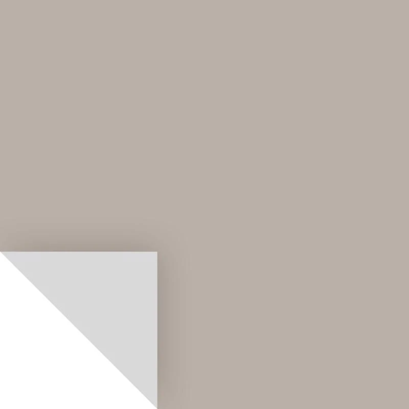 Benjamin Moore Silver Fox Peel & Stick Color Sample 2108-50, 14.75 X 9 In.