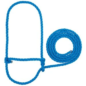 CALF HALTER BLUE