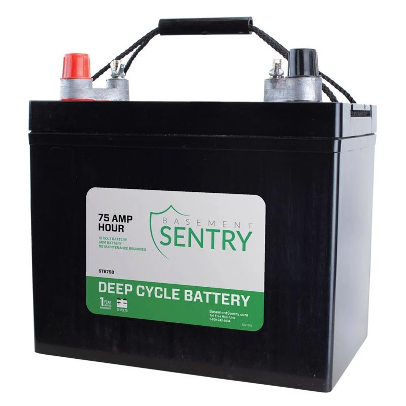 Stb75b Deep Cycle Battery 75 Amp For Sump And Utility Pumps