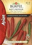 54174 Big Thai Hybrid Pepper Seed Packet - High Yield, Non-gmo, 25 Seeds