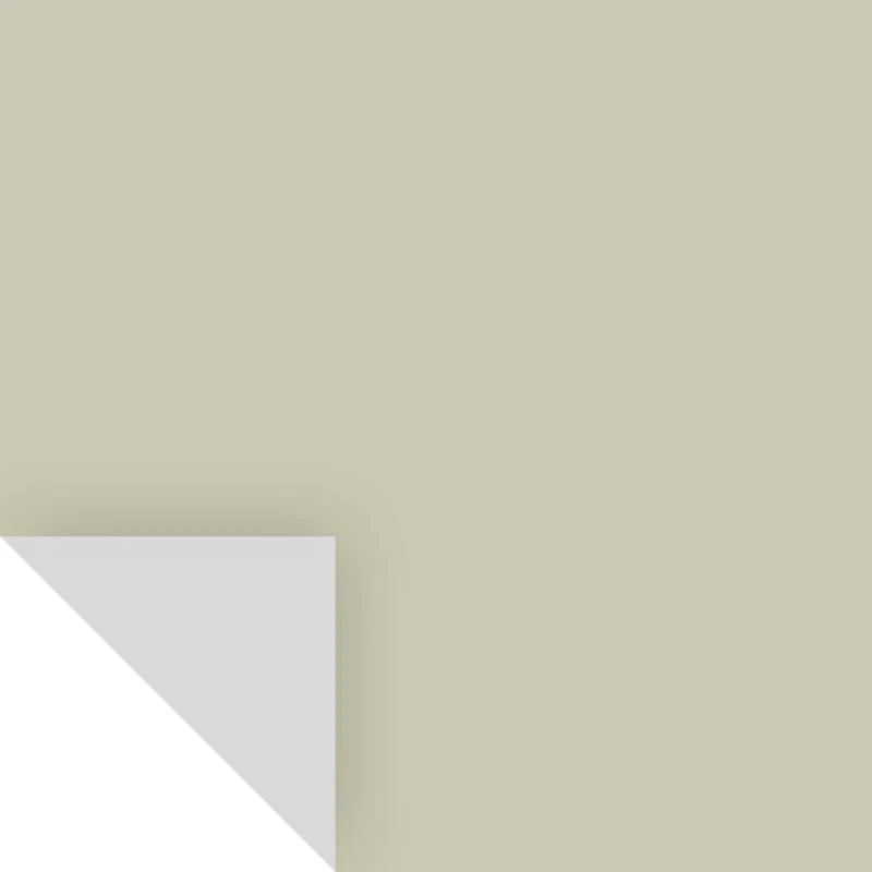 Benjamin Moore Soft Fern Peel & Stick Color Sample 2144-40 14.75" X 9"