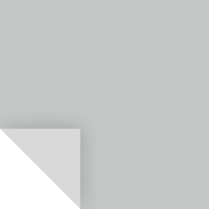 Benjamin Moore Silver Lake Peel & Stick Color Sample 1598 - 14.75" X 9"