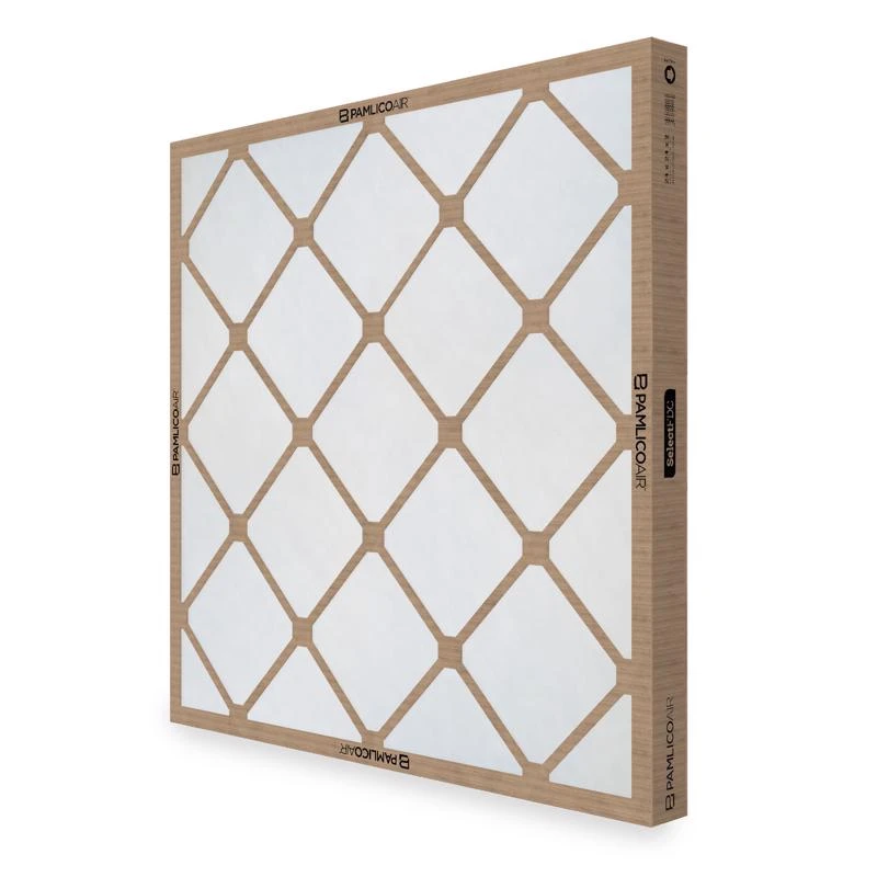 Pamlico Air 12 in. W X 20 in. H X 2 in. Fiberglass 4 MERV Air Filter 1 pk