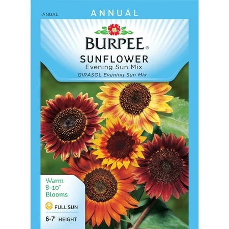 BURPEE - SUNFLOWER - EVENING SUN MIX