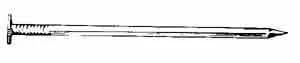 2 Inch Hot-dipped Galvanized Nails - 50 Pound Box
