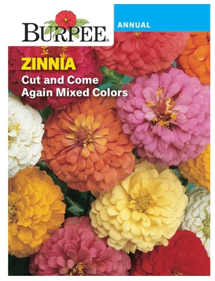 Cut And Come Again Zinnia Flower Seeds - 550 Mg, Annual, 24" Height