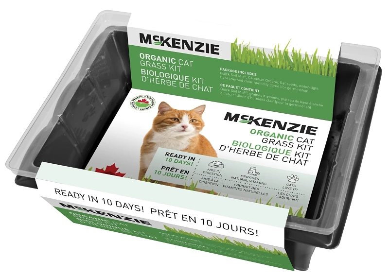 Organic Grass Cat Kit - Model 141292 For Healthy Feline Nutrition