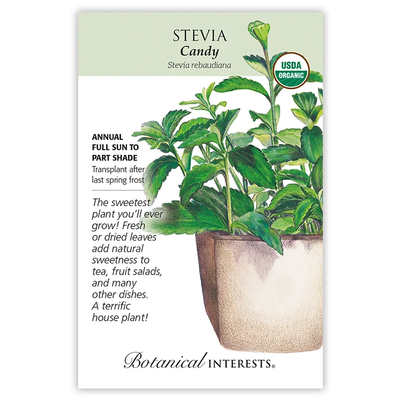 Stevia Seeds - 12 Seeds For Home Gardening